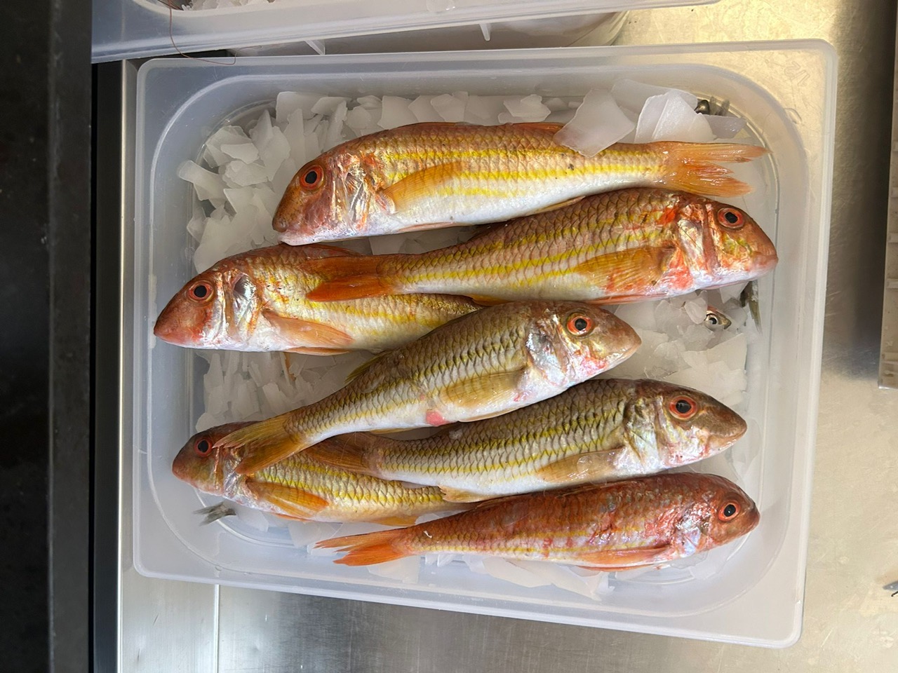 fish restaurant in modica